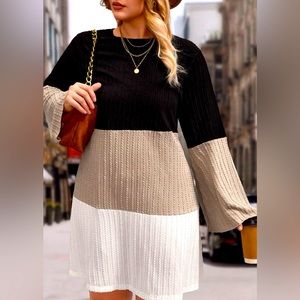 Plus Color Block Flounce Sleeve Dress